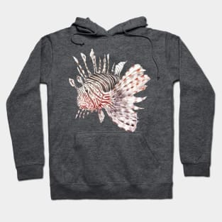 Lionfish Hoodie